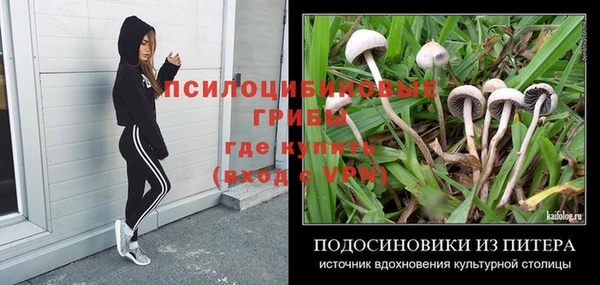 экстази Ельня