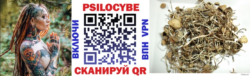 Купить где  Протвино  Галлюциногенные грибы прущие грибы 